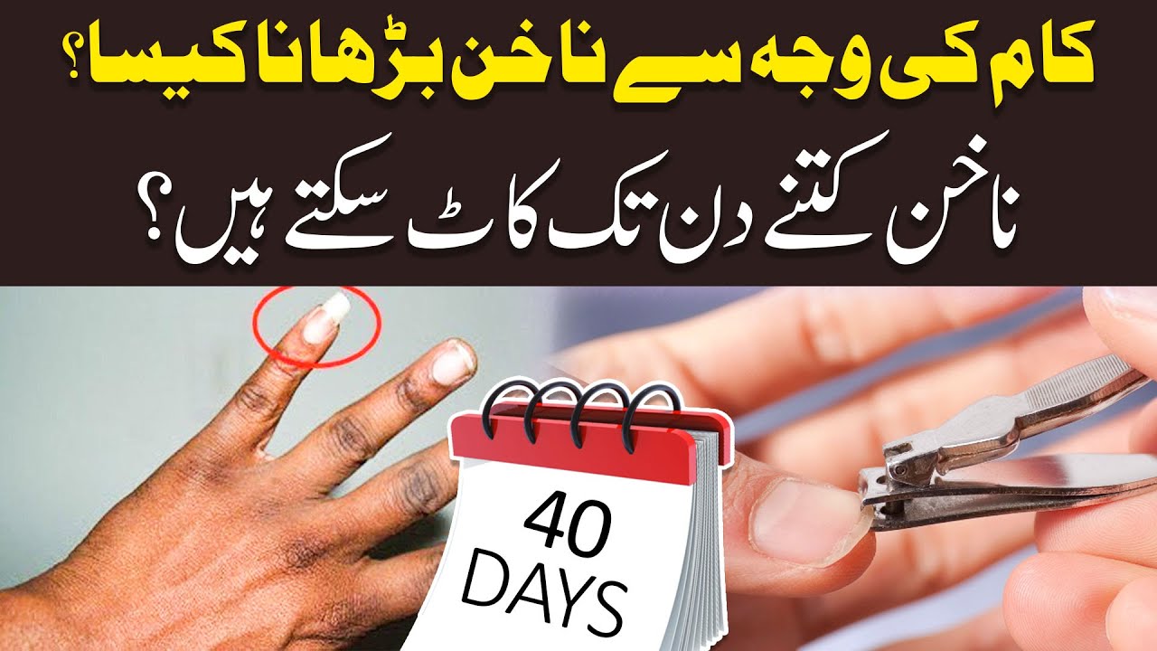 Nakhun Kitne Din Tak Kat Sakte Hain